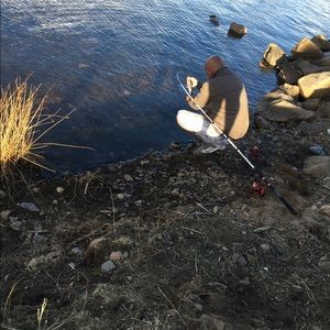 Meet your Posher, Darlene